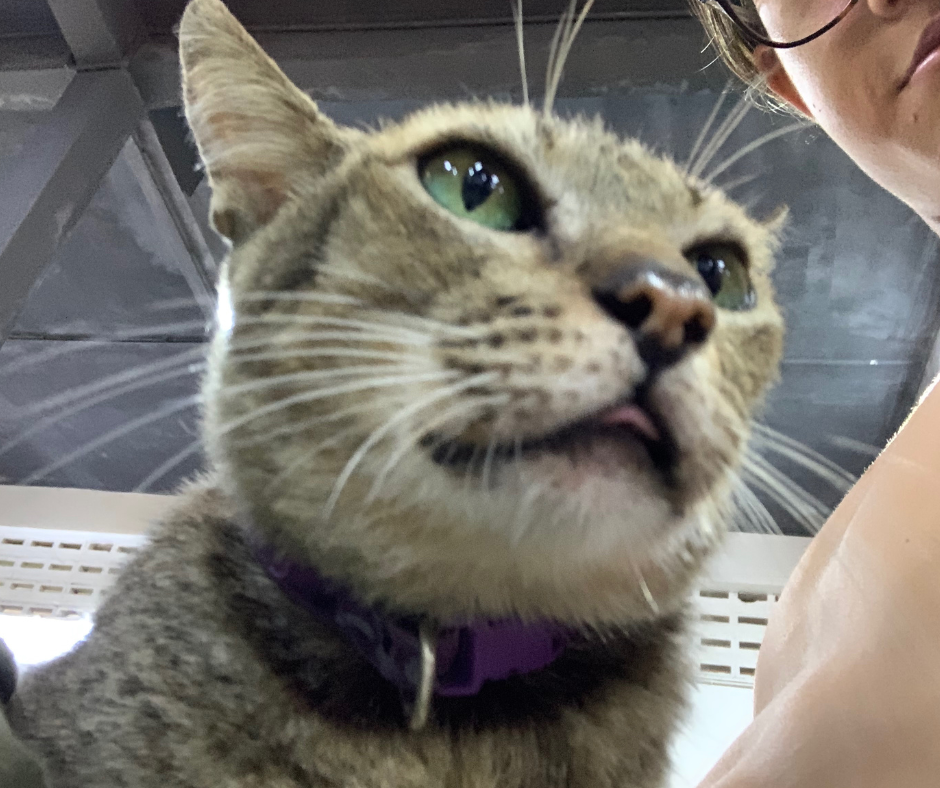 Here’s what I don’t get